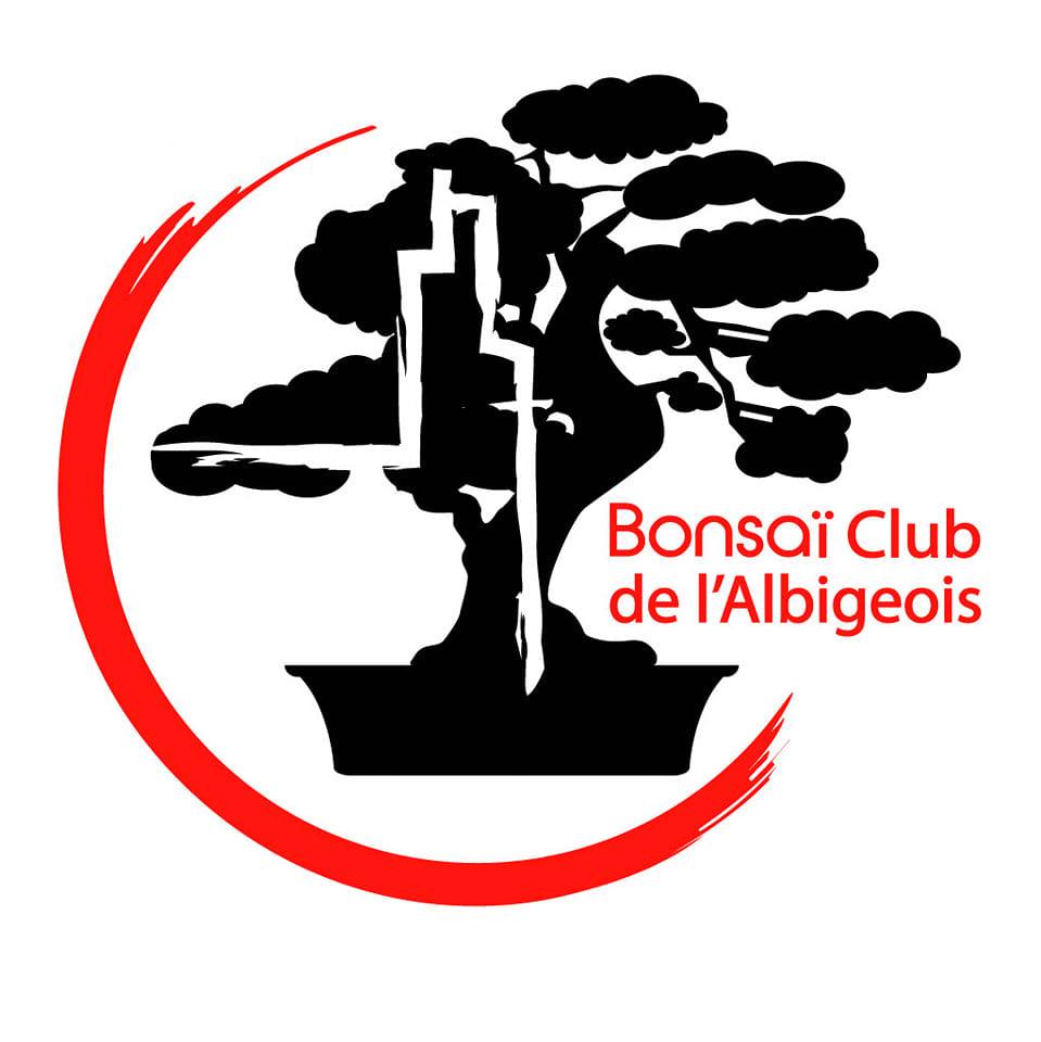 Atelier taille & mise en forme de mon bonsaï