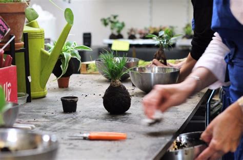 Atelier de fabrication de kokedama