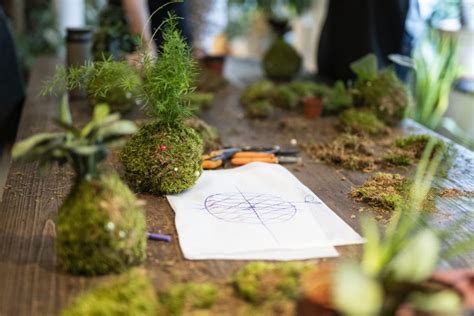 Atelier de fabrication de kokedama